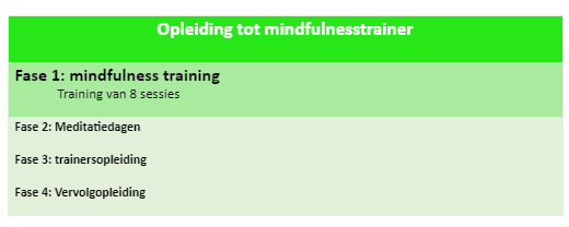 instituut aandacht en mindfulness fase 1 mindfulness training