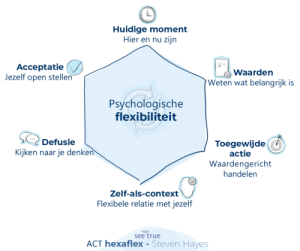 Hexaflex ACT opleiding therapeut coach instrument Steven Hayes I AM instituut aandacht mindfulness