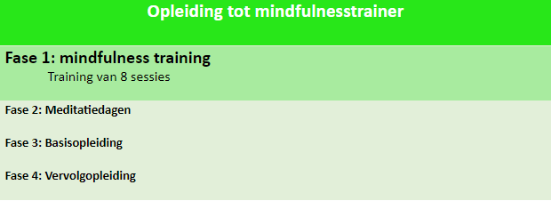 mindfulness training mbct mbsr tabel schema trainer opleiding fase 1 I AM instituut aandacht