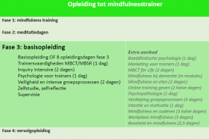 trainer opleiding mindfulness fase 3 basis schema tabel overzicht I AM instituut aandacht